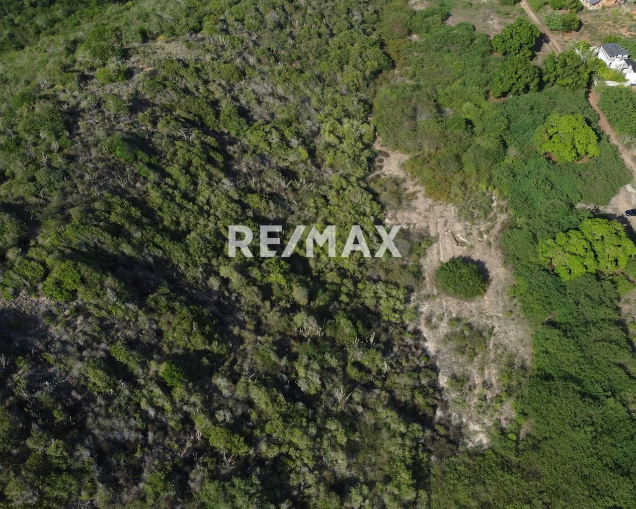 Terreno De Uso Turístico En Manantial De Guayamuri , Antolín Del Campo - Imagen 4