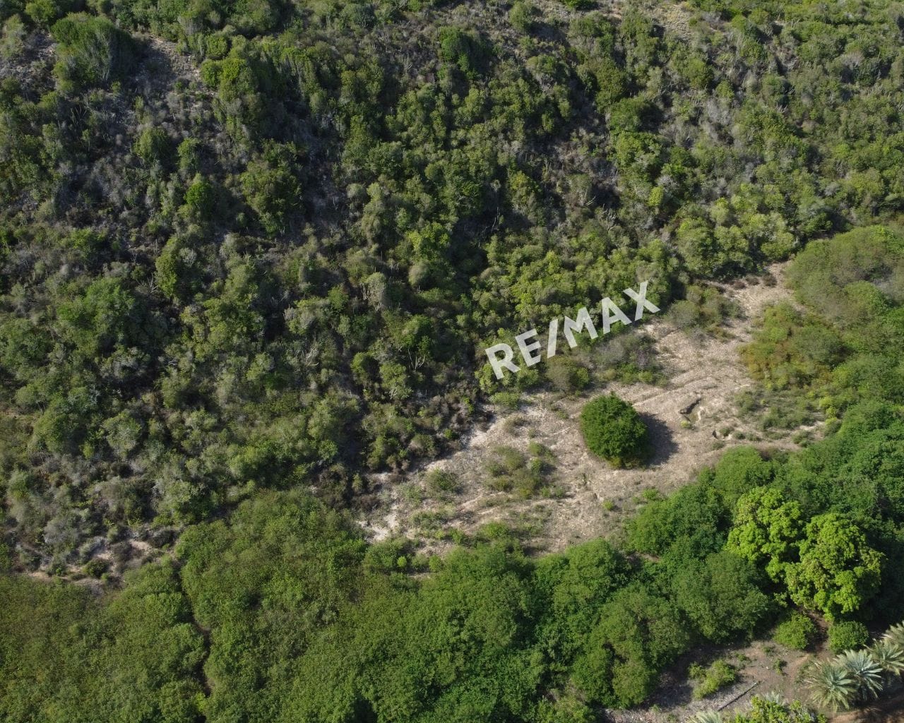 Terreno De Uso Turístico En Manantial De Guayamuri , Antolín Del Campo - Imagen 5