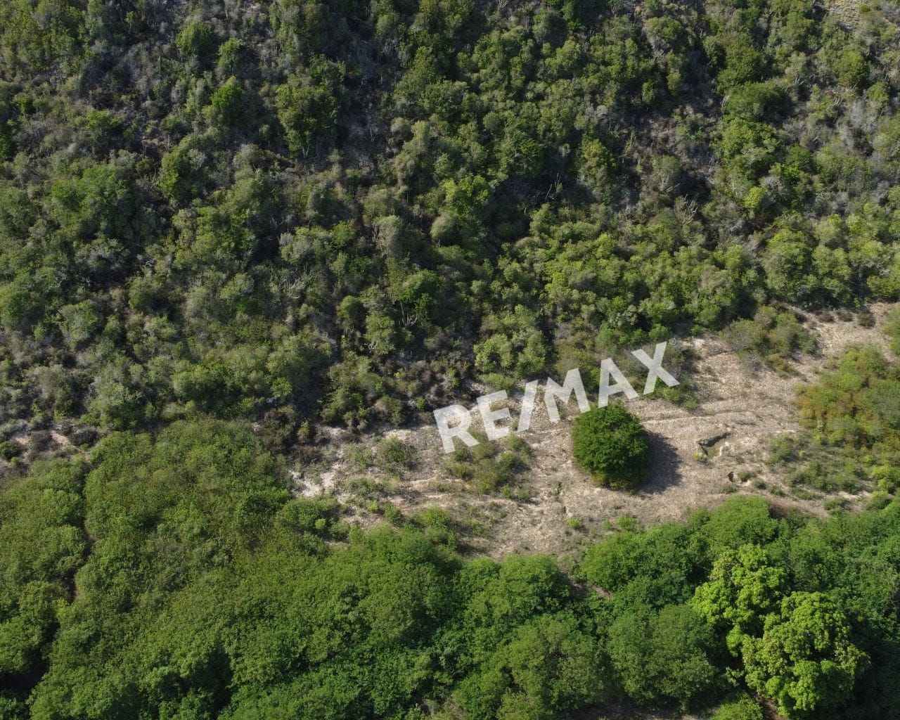 Terreno De Uso Turístico En Manantial De Guayamuri , Antolín Del Campo - Imagen 6