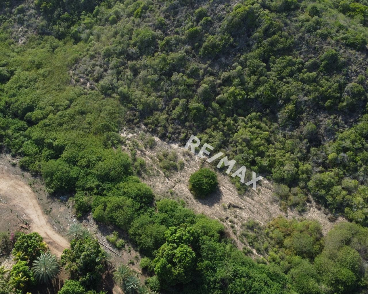 Terreno De Uso Turístico En Manantial De Guayamuri , Antolín Del Campo - Imagen 7