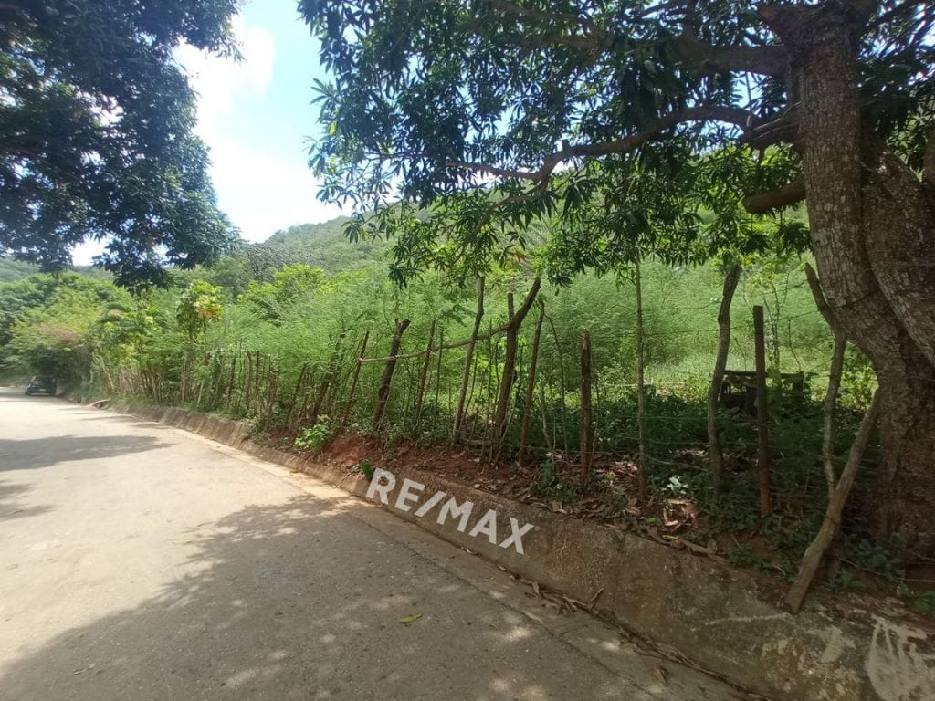 Terreno, En Venta, En Sector Guayabal, La Asunción, Nueva Esparta, Isla de Margarita, 25.000MT2 - Imagen 11