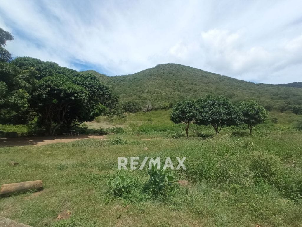 Terreno, En Venta, En Sector Guayabal, La Asunción, Nueva Esparta, Isla de Margarita, 25.000MT2 - Imagen 3