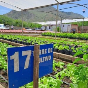 GRANJA DE HORTICULTURA Y TRANSPORTE DE AGUA