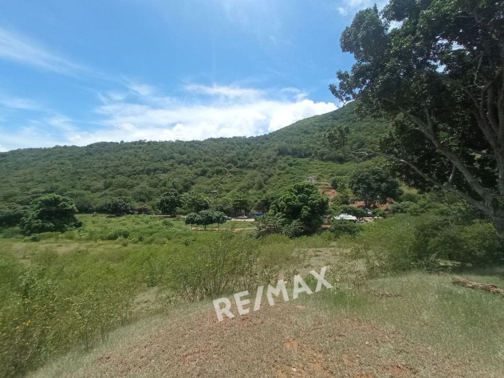 Terreno, En Venta, En Sector Guayabal, La Asunción, Nueva Esparta, Isla de Margarita, 25.000MT2 - Imagen 4