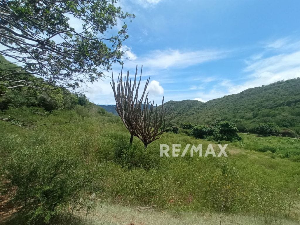 Terreno, En Venta, En Sector Guayabal, La Asunción, Nueva Esparta, Isla de Margarita, 25.000MT2 - Imagen 5