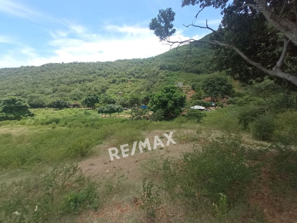 Terreno, En Venta, En Sector Guayabal, La Asunción, Nueva Esparta, Isla de Margarita, 25.000MT2 - Imagen 6