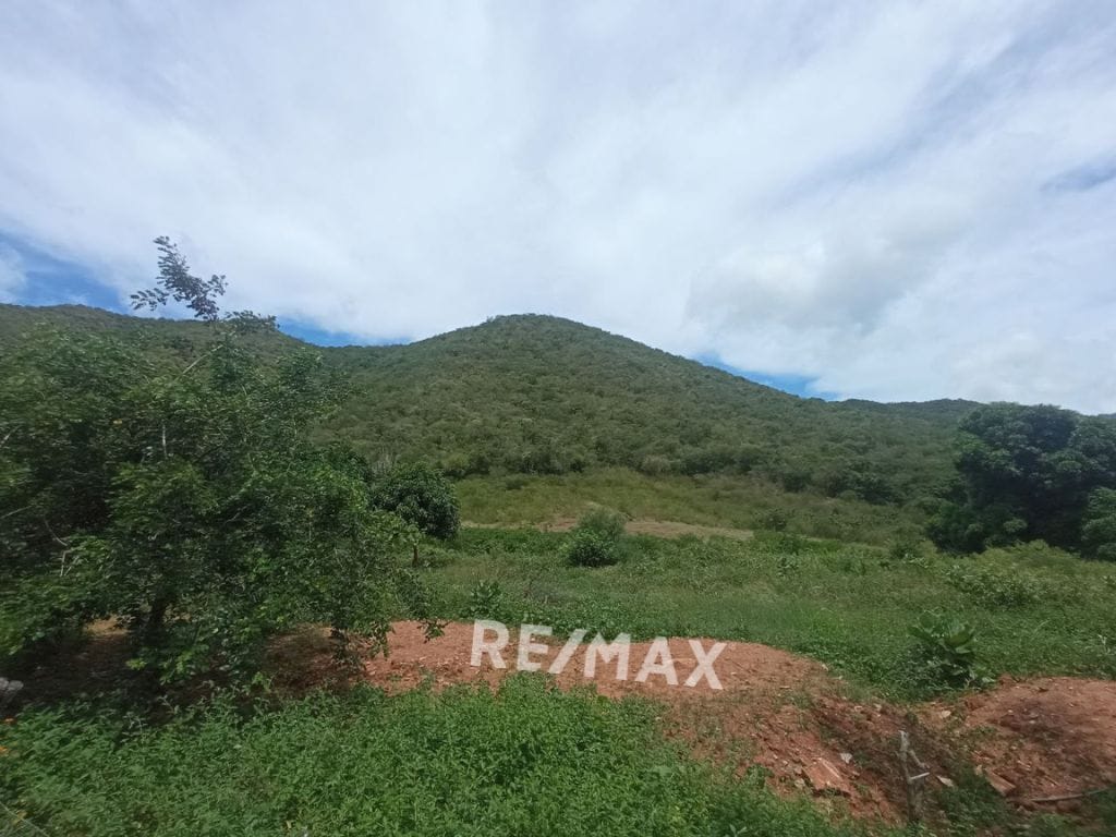 Terreno, En Venta, En Sector Guayabal, La Asunción, Nueva Esparta, Isla de Margarita, 25.000MT2 - Imagen 8