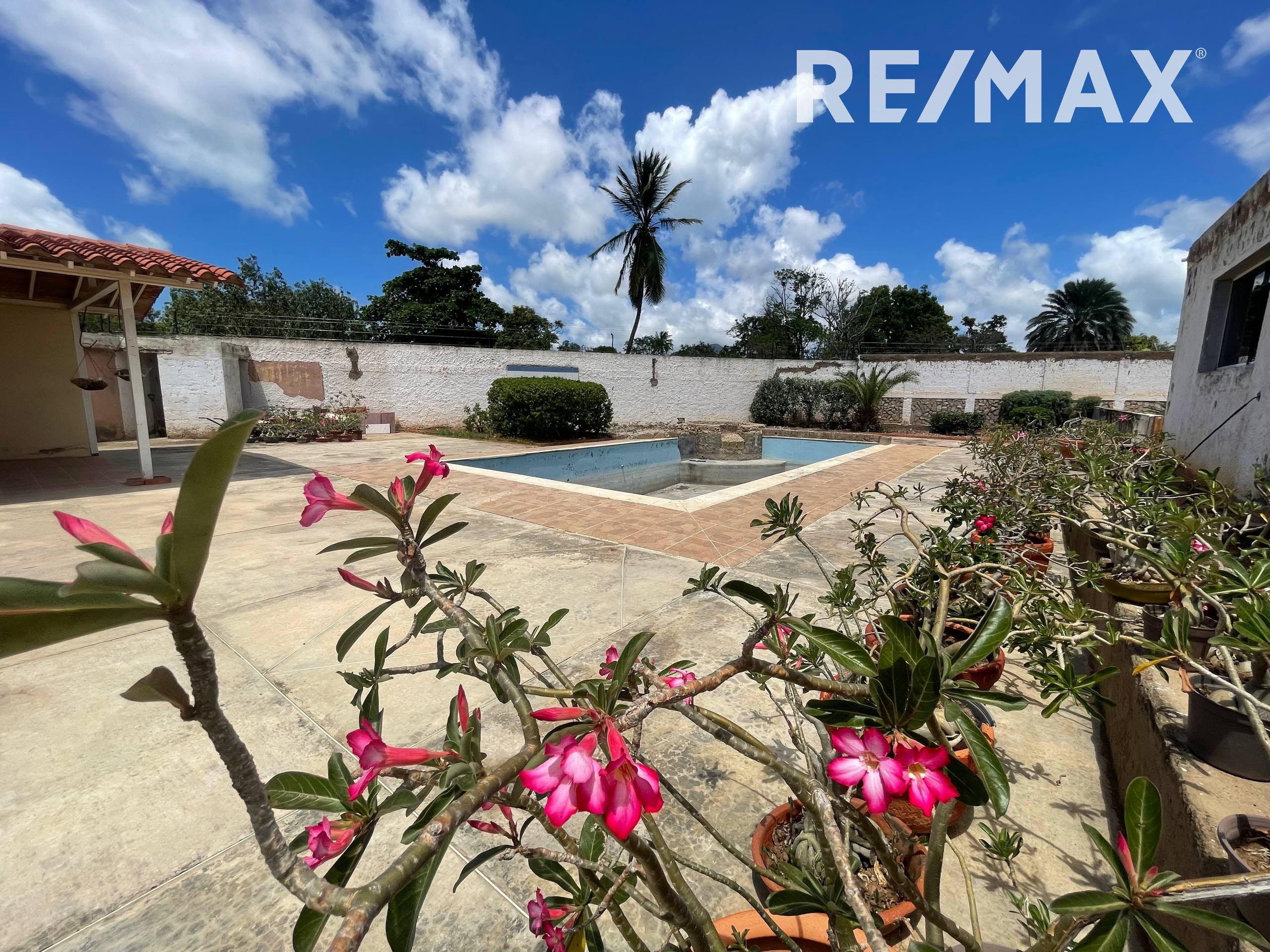 Casa, En Venta, En Urbanización Ampliación Juan Griego, Juan Griego, Nueva Esparta, Isla de Margarita, 1398 mt2, 3 Habitaciones y 3 Baños - Imagen 3