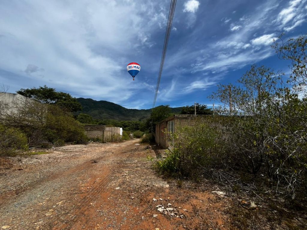 Terreno, En Venta, En Sector Guayabal, La Asunción, Nueva Esparta, Isla de margarita, 511 mt2