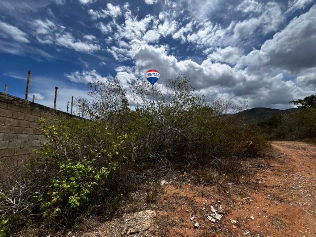 Terreno, En Venta, En Sector Guayabal, La Asunción, Nueva Esparta, Isla de margarita, 511 mt2 - Imagen 4
