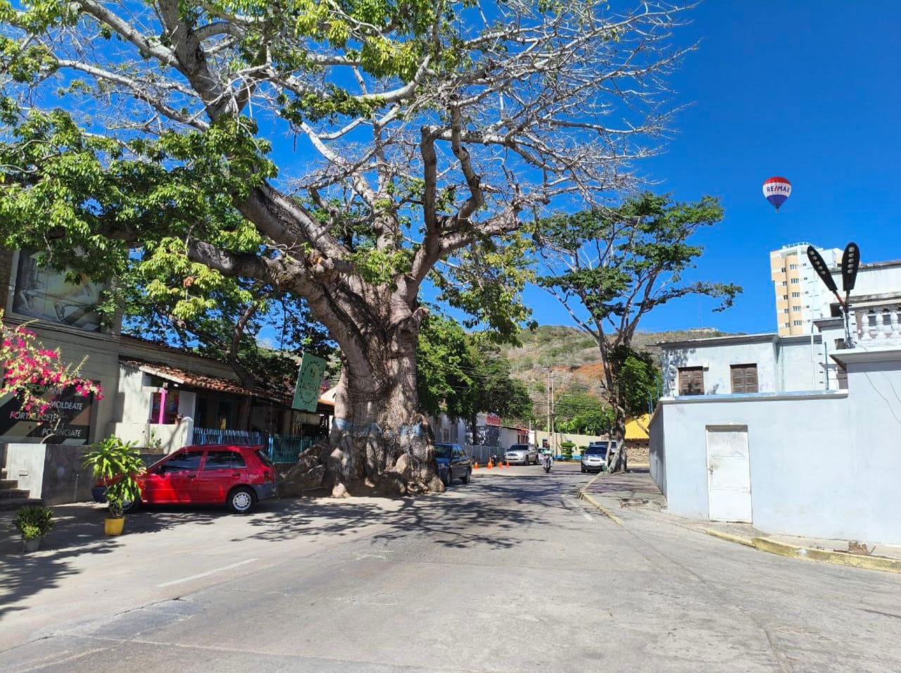 Casa Antigua, En Venta, En Pampatar, Nueva Esparta, Isla de Margarita, 190 mt2, 2 Habitaciones y 1 Baño - Imagen 10