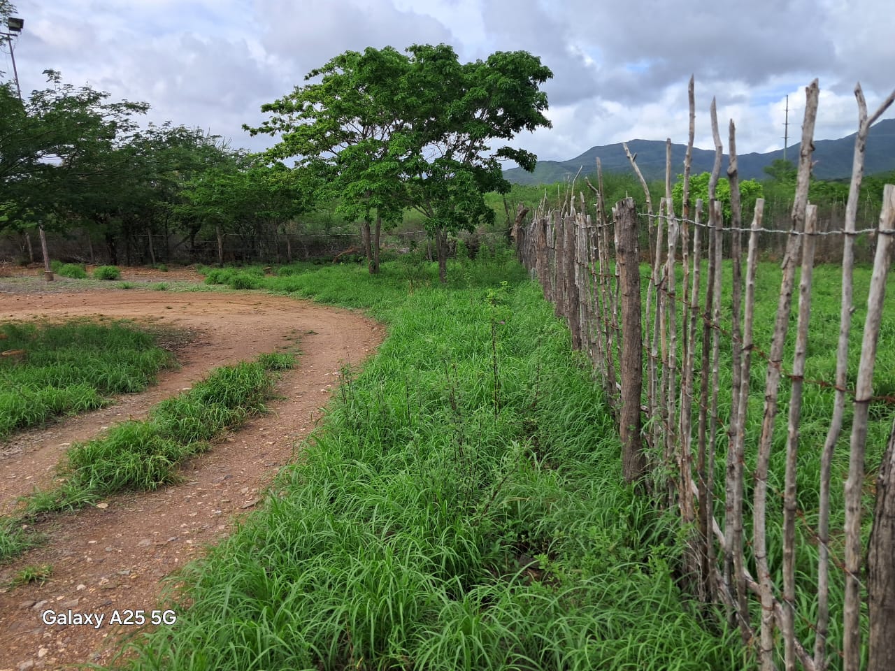 Finca, En Venta, En Guatati, Nueva Esparta, Isla de Margarita, 30.516,12 mts2, 3 Habitaciones y 5 Baños - Imagen 4