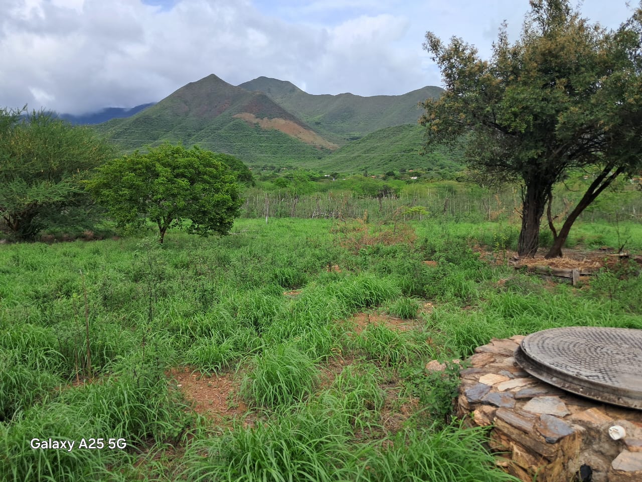 Finca, En Venta, En Guatati, Nueva Esparta, Isla de Margarita, 30.516,12 mts2, 3 Habitaciones y 5 Baños - Imagen 5
