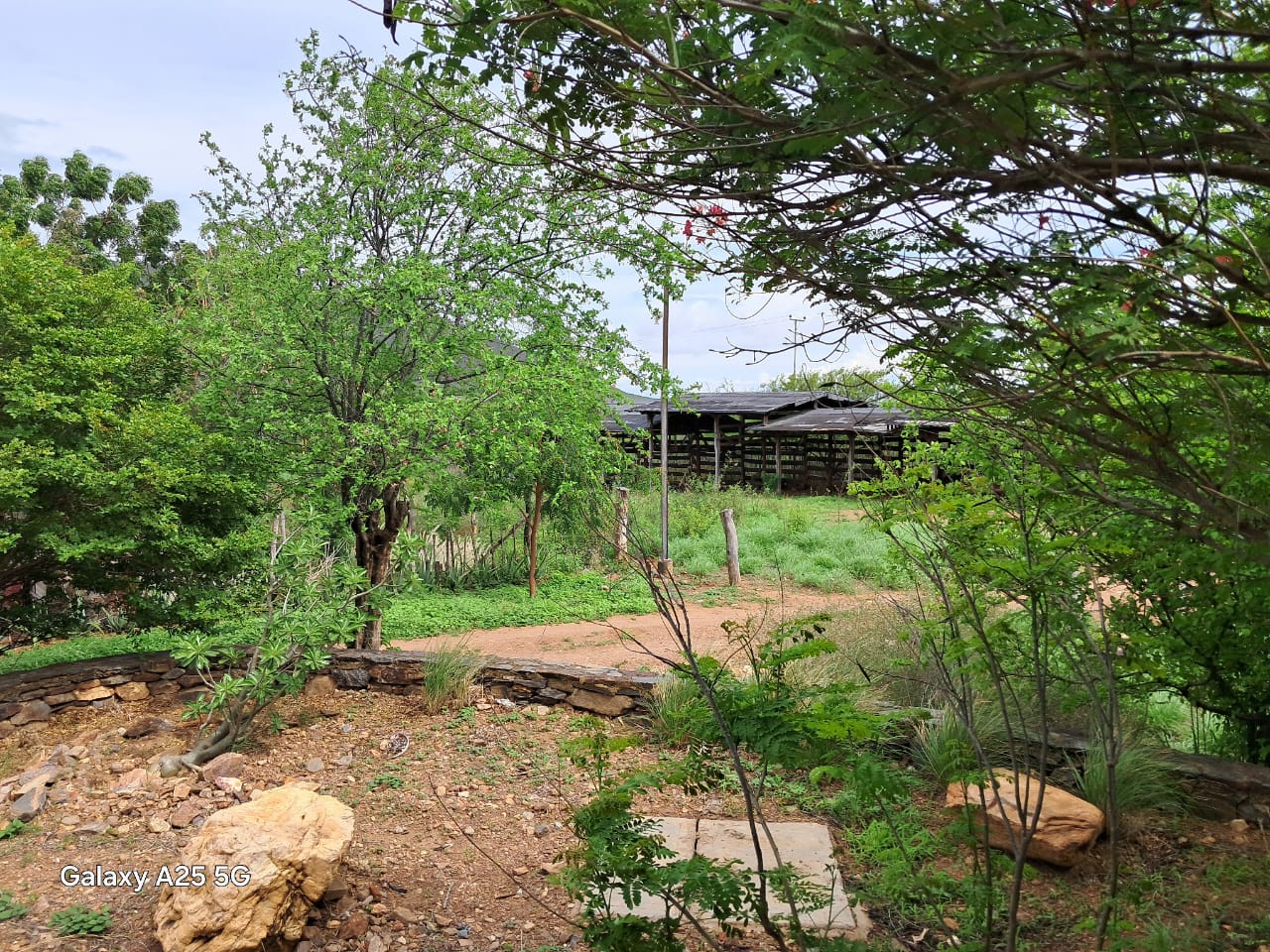 Finca, En Venta, En Guatati, Nueva Esparta, Isla de Margarita, 30.516,12 mts2, 3 Habitaciones y 5 Baños - Imagen 9