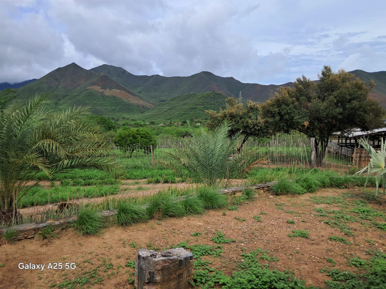 Finca, En Venta, En Guatati, Nueva Esparta, Isla de Margarita, 30.516,12 mts2, 3 Habitaciones y 5 Baños - Imagen 10