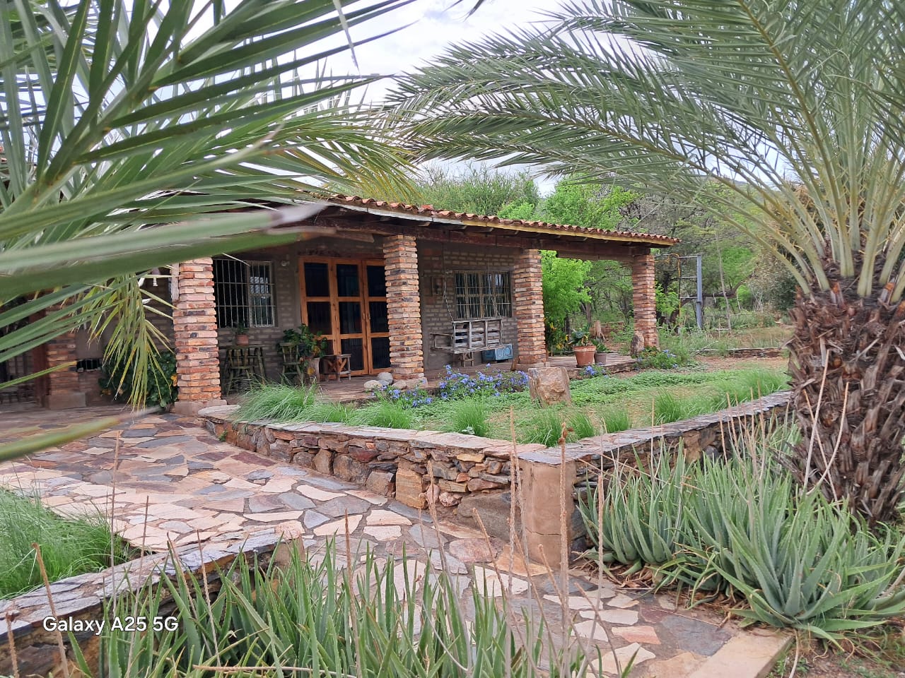 Finca, En Venta, En Guatati, Nueva Esparta, Isla de Margarita, 30.516,12 mts2, 3 Habitaciones y 5 Baños - Imagen 11