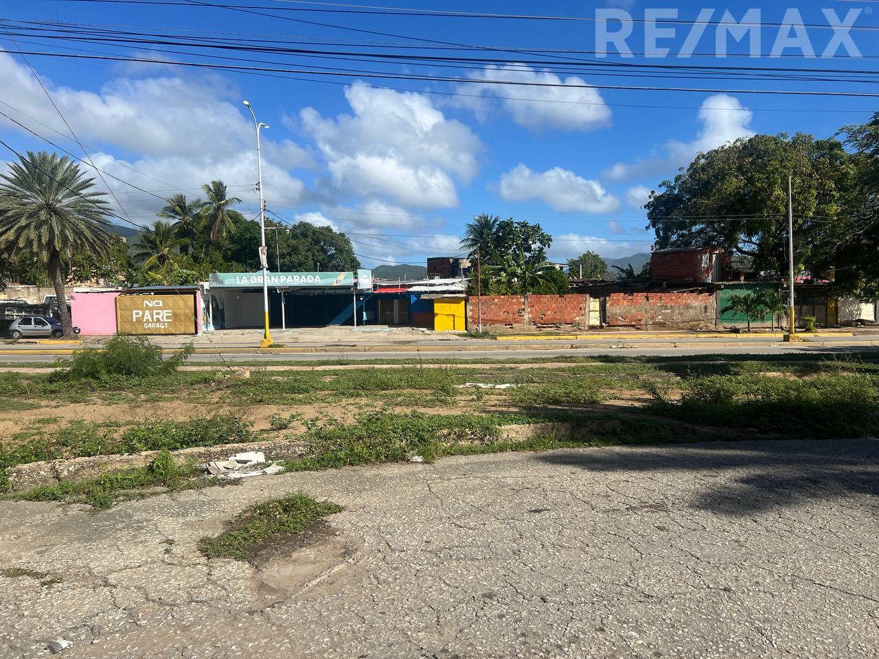 Terreno, En Venta, Conejeros, Via la Virgen Del Valle, Nueva Esparta, Isla de Margarita, 367 mt2 - Imagen 10