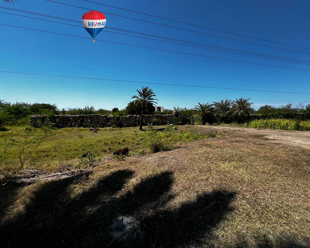 Terreno, En Venta, Av. Aeropuerto, Las Bermúdez, Nueva Esparta, Isla de Margarita, 30.000MT2 - Imagen 4