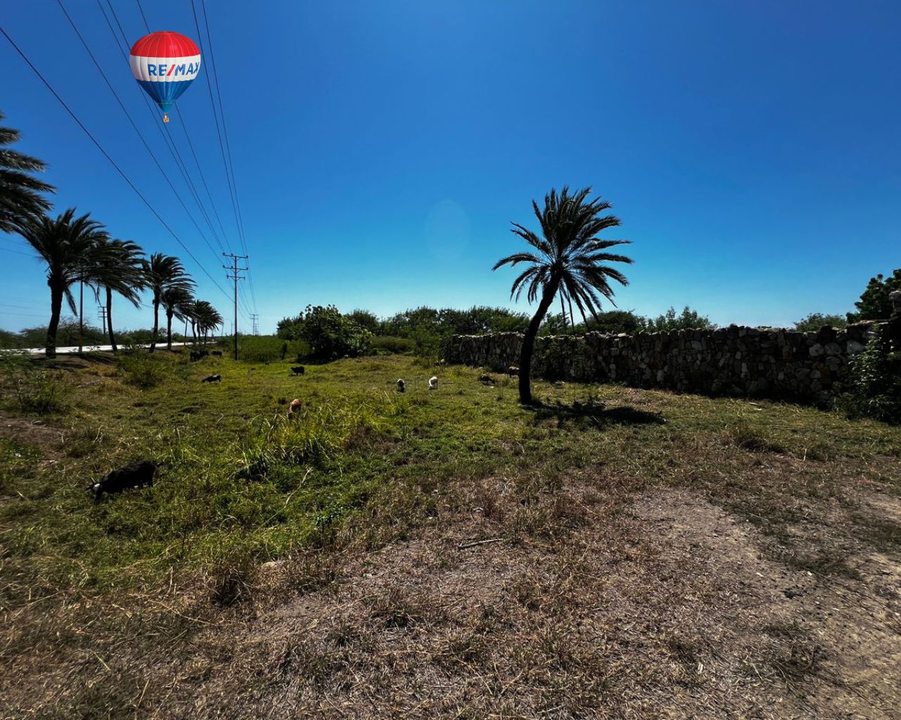 Terreno, En Venta, Av. Aeropuerto, Las Bermúdez, Nueva Esparta, Isla de Margarita, 30.000MT2 - Imagen 5