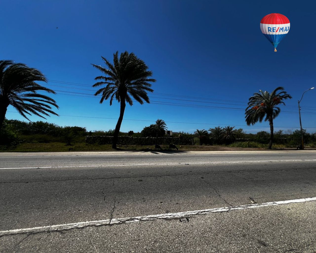 Terreno, En Venta, Av. Aeropuerto, Las Bermúdez, Nueva Esparta, Isla de Margarita, 30.000MT2 - Imagen 9