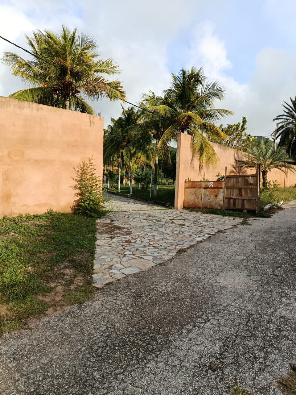 Terreno con Finca, En Venta, En Pedro González, Nueva Esparta, Isla de Margarita, 50000 MT2 - Imagen 3