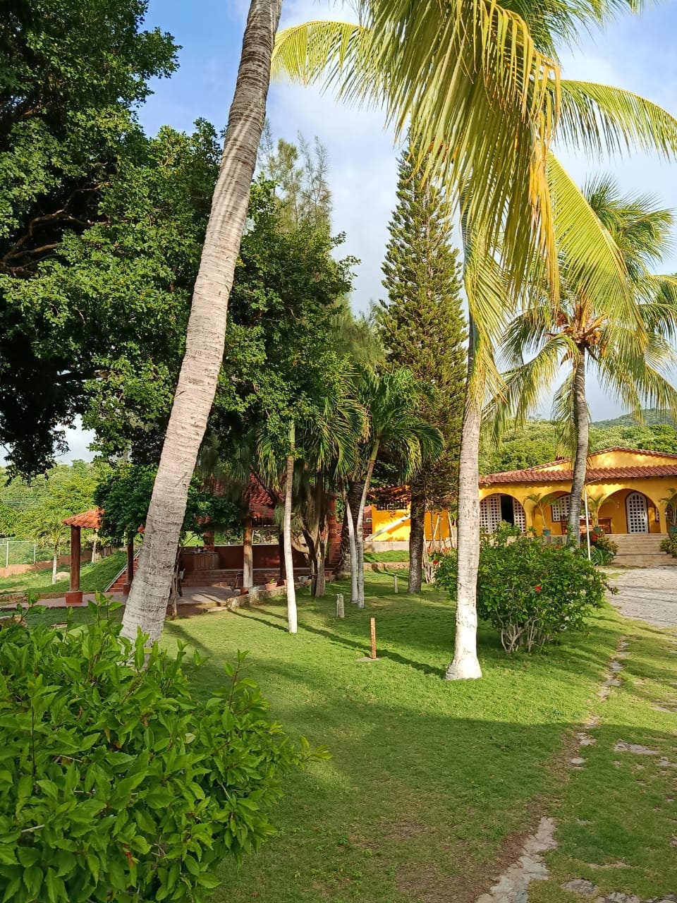 Terreno con Finca, En Venta, En Pedro González, Nueva Esparta, Isla de Margarita, 50000 MT2 - Imagen 4