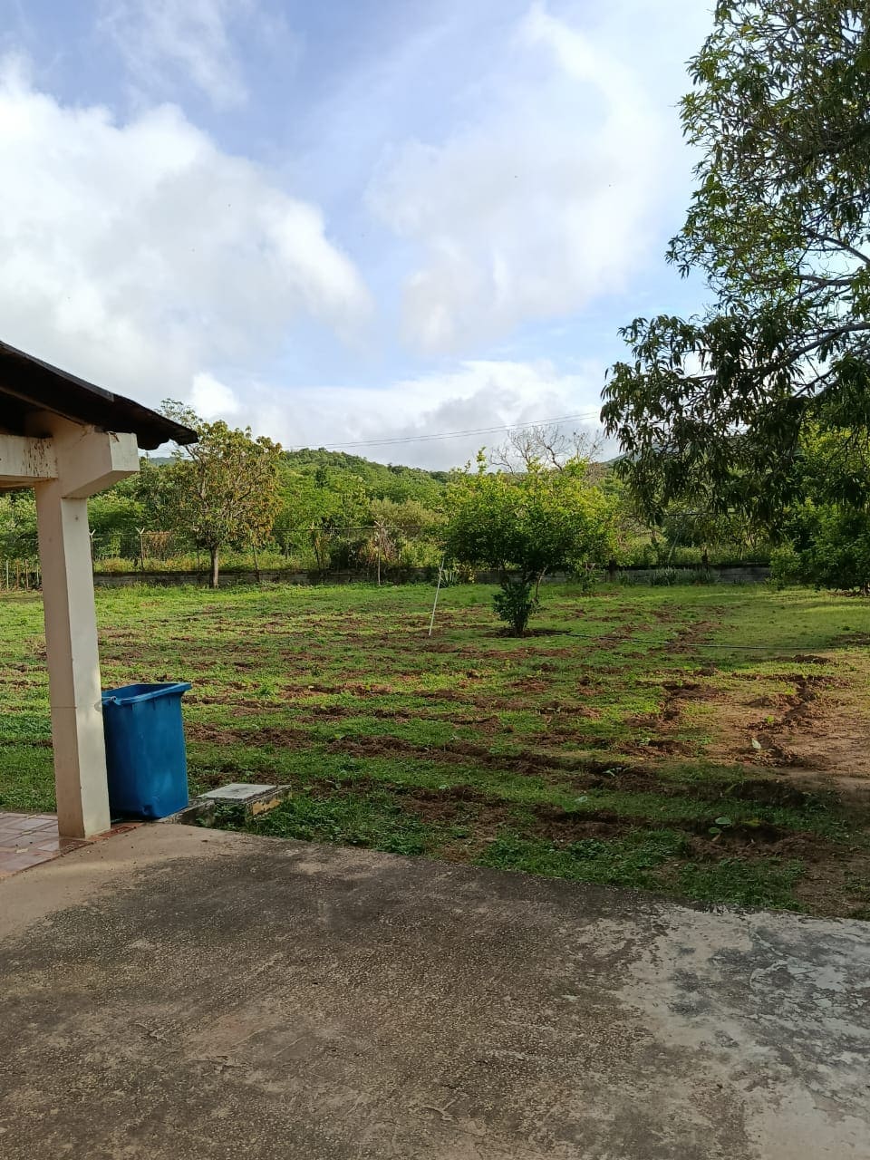 Terreno con Finca, En Venta, En Pedro González, Nueva Esparta, Isla de Margarita, 50000 MT2 - Imagen 6