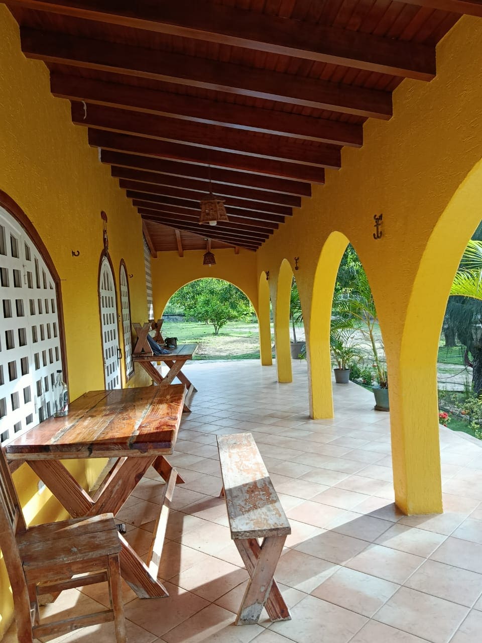 Terreno con Finca, En Venta, En Pedro González, Nueva Esparta, Isla de Margarita, 50000 MT2 - Imagen 7
