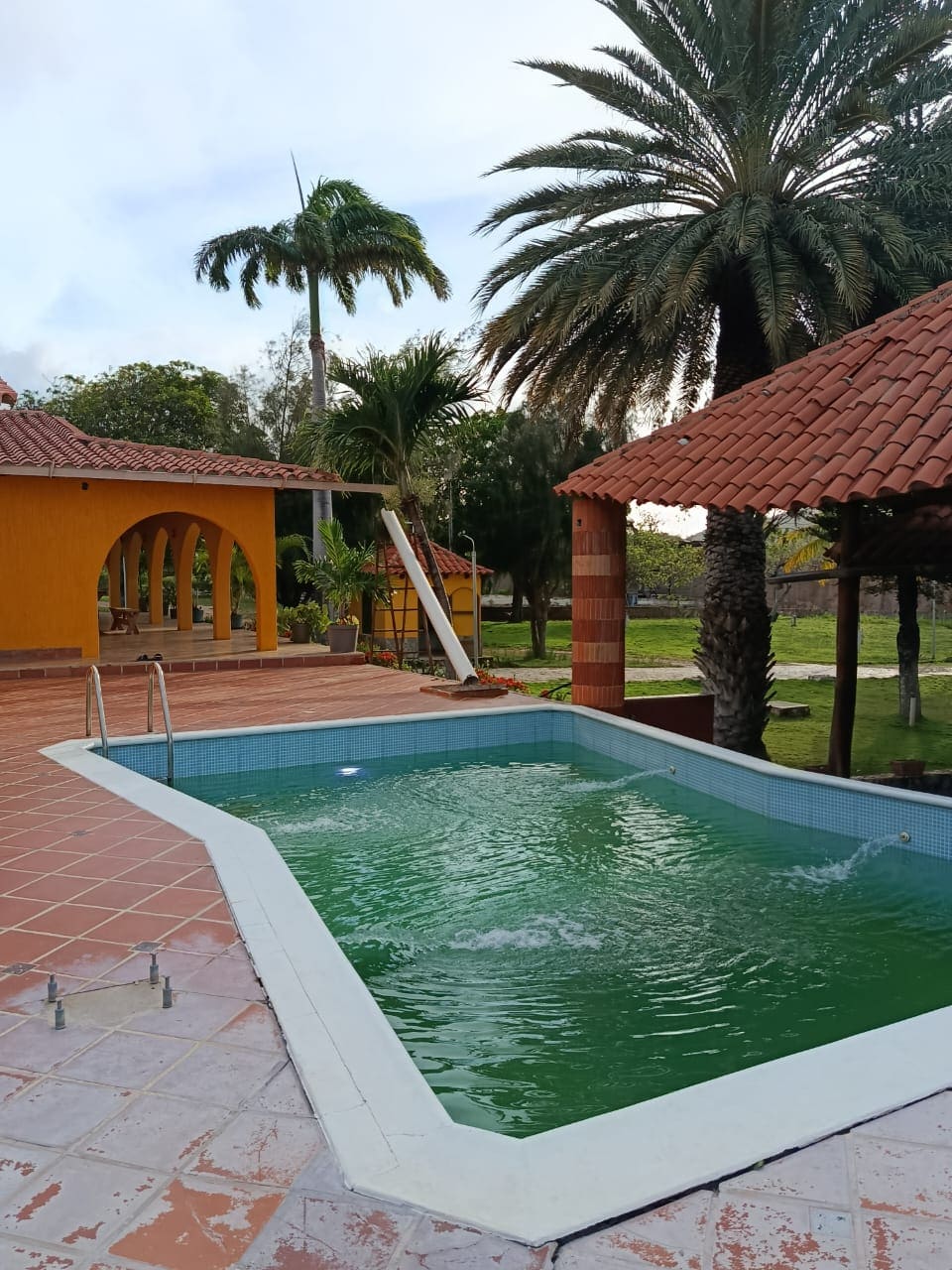 Terreno con Finca, En Venta, En Pedro González, Nueva Esparta, Isla de Margarita, 50000 MT2 - Imagen 13