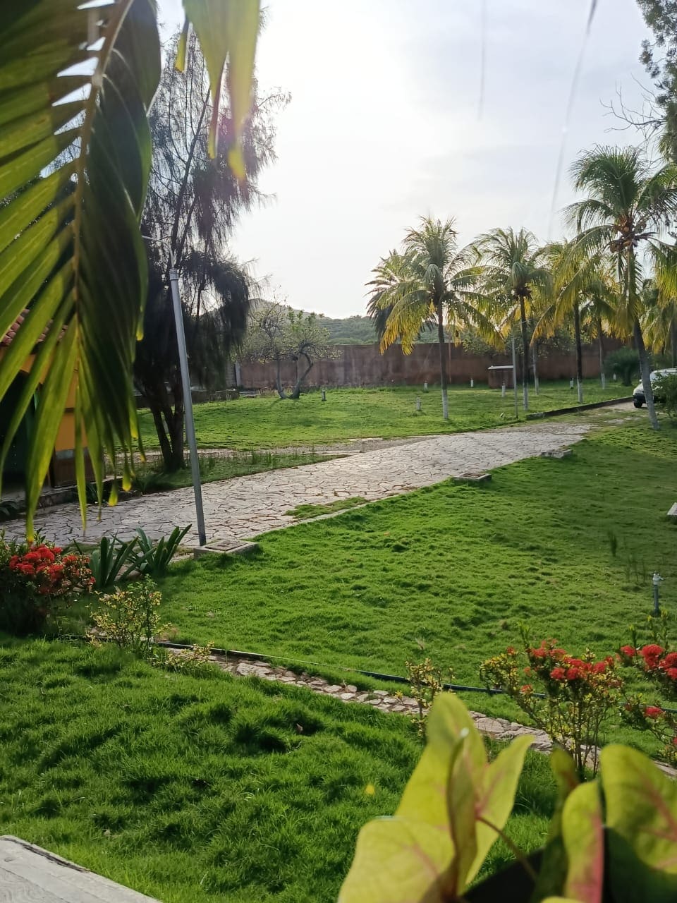 Terreno con Finca, En Venta, En Pedro González, Nueva Esparta, Isla de Margarita, 50000 MT2 - Imagen 14