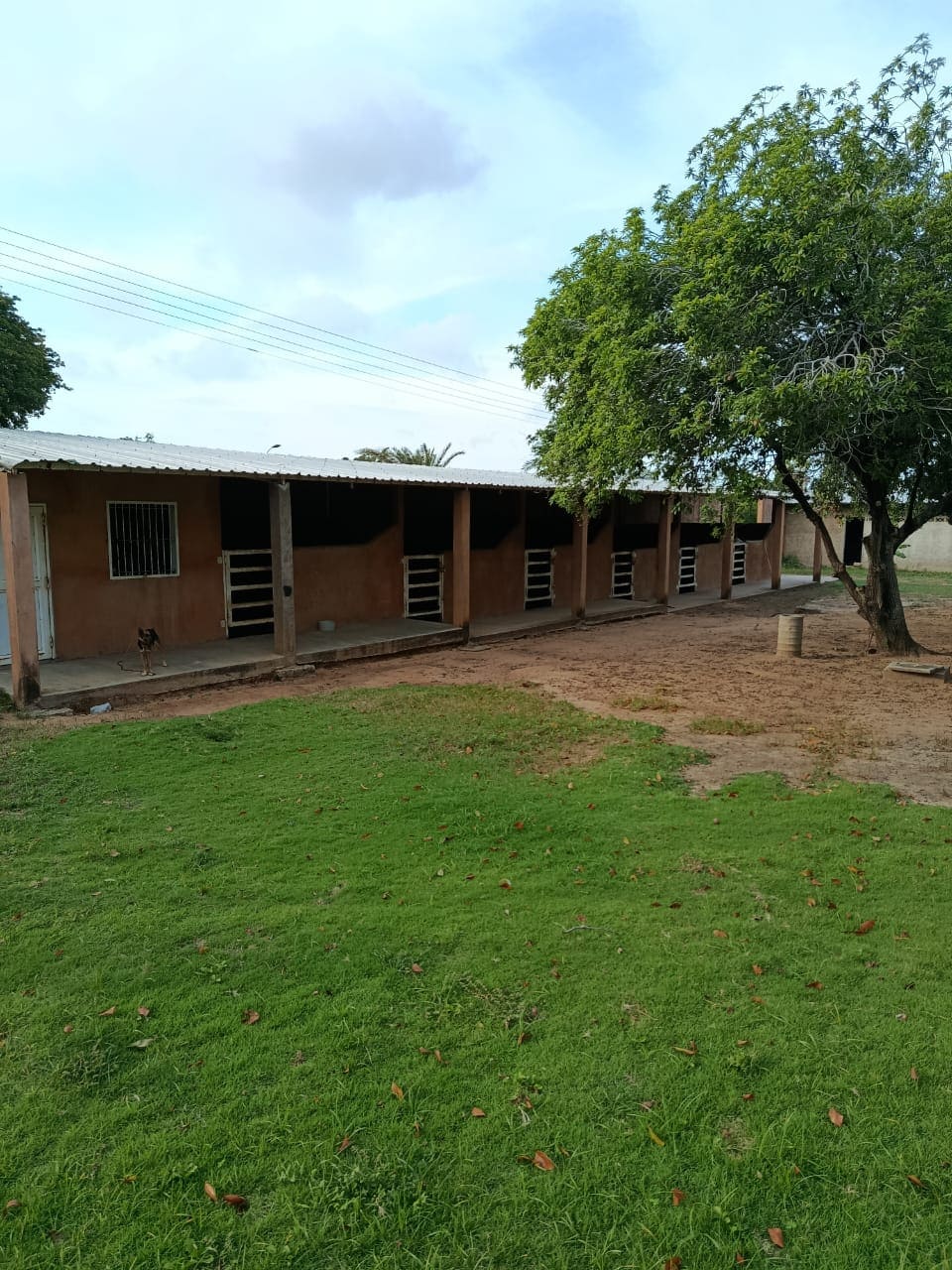 Terreno con Finca, En Venta, En Pedro González, Nueva Esparta, Isla de Margarita, 50000 MT2 - Imagen 19