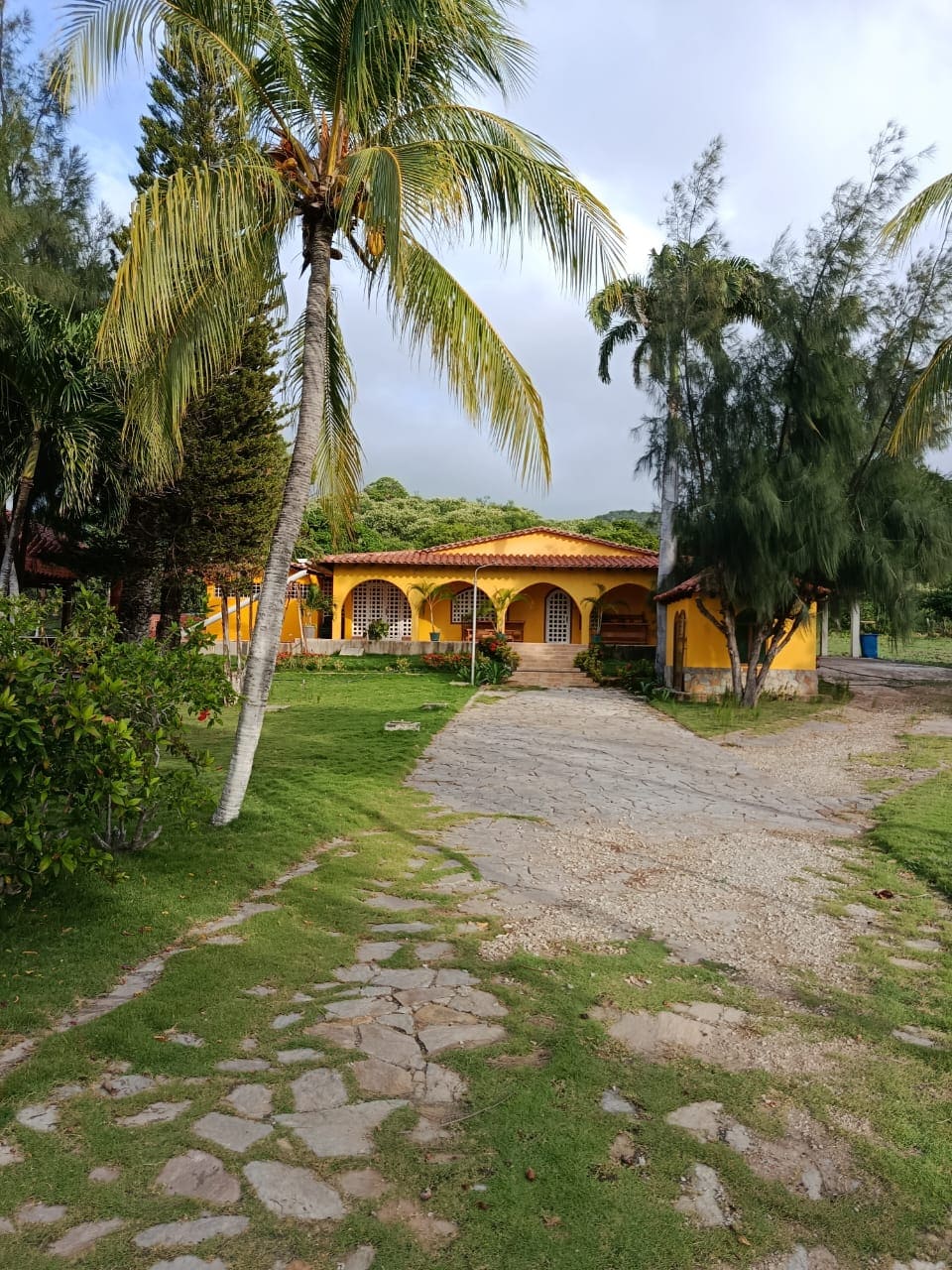 Terreno con Finca, En Venta, En Pedro González, Nueva Esparta, Isla de Margarita, 50000 MT2 - Imagen 20