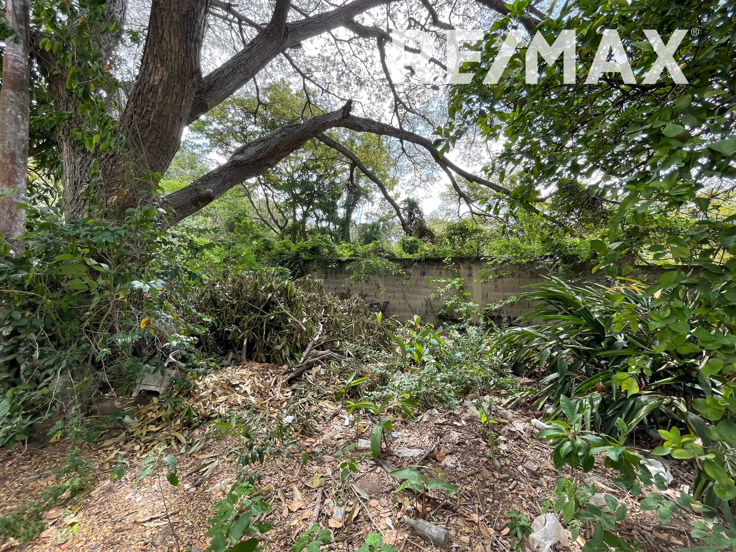 Terreno, En Venta, En Avenida 31 de Julio, Nueva Esparta, Isla de Margarita, 1445,48 MT2 - Imagen 13
