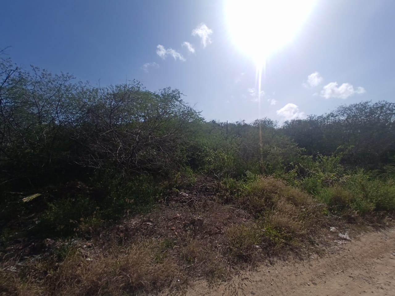 2 Parcelas de Terreno, En Venta, En Los Robles, Sector Los Chacos, Nueva Esparta, Isla de Margarita, 1591,71 MT2 - Imagen 5
