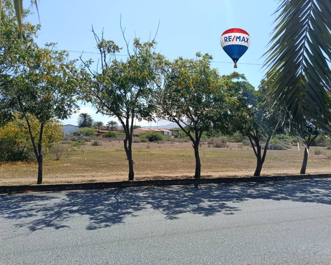 Terreno, En Venta, En Av Juan de Castellanos, Juan Griego, Nueva Esparta, Isla de Margarita, 13.162 MT2 - Imagen 2