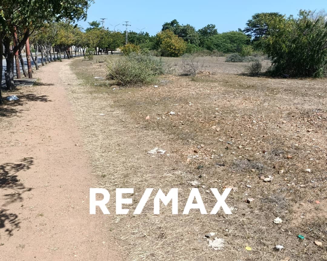 Terreno, En Venta, En Av Juan de Castellanos, Juan Griego, Nueva Esparta, Isla de Margarita, 13.162 MT2 - Imagen 6