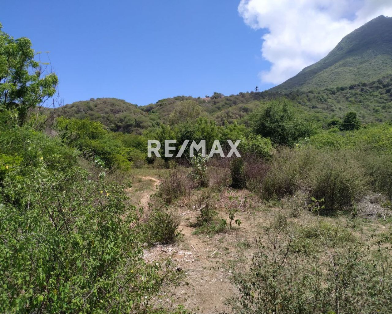 Terreno, En Venta, En La Fuente, Las Polvorosas, Nueva Esparta, Isla de Margarita, 800 Mt2 - Imagen 11
