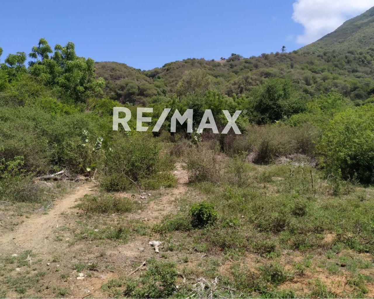 Terreno, En Venta, En La Fuente, Las Polvorosas, Nueva Esparta, Isla de Margarita, 800 Mt2 - Imagen 6