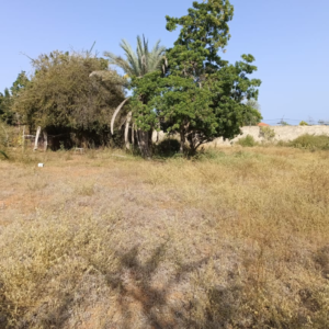 Terreno, En Venta, En Sabana de Guacuco, Nueva Esparta, Isla de Margarita, 440,95 mt2