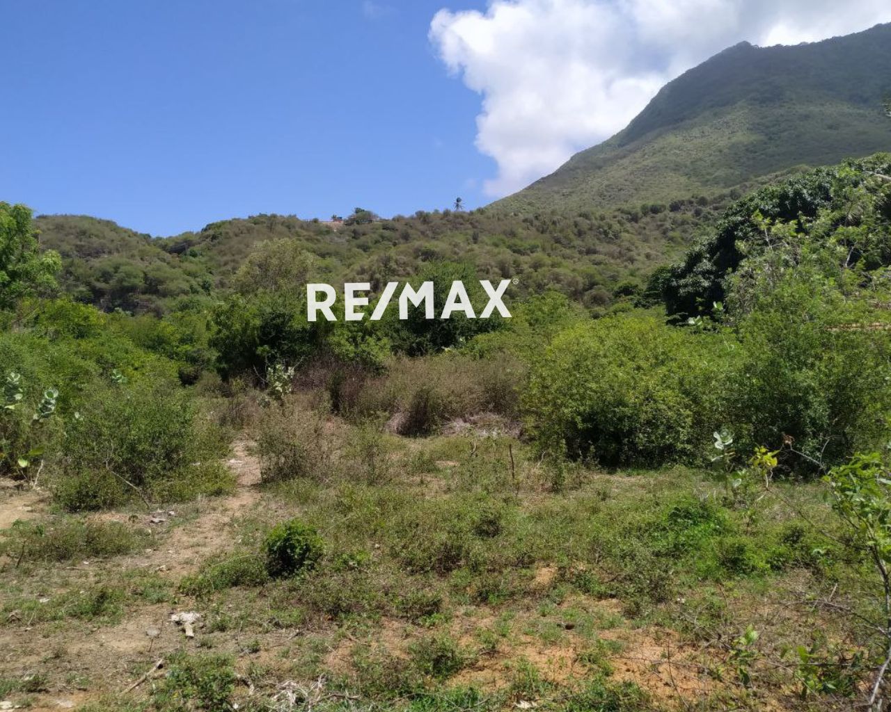 Terreno, En Venta, En La Fuente, Las Polvorosas, Nueva Esparta, Isla de Margarita, 800 Mt2 - Imagen 9