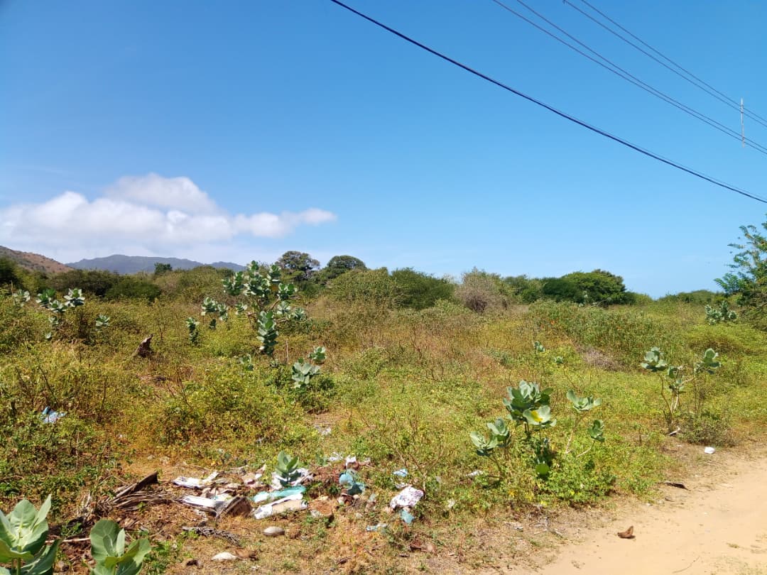 Terreno, En Venta, En El Tirano, Nueva Esparta, Isla de Margarita, 592,94 mt2 - Imagen 2