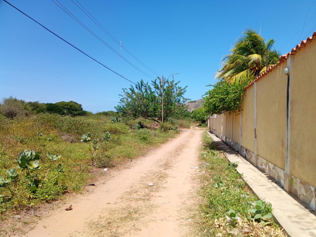 Terreno, En Venta, En El Tirano, Nueva Esparta, Isla de Margarita, 592,94 mt2 - Imagen 3