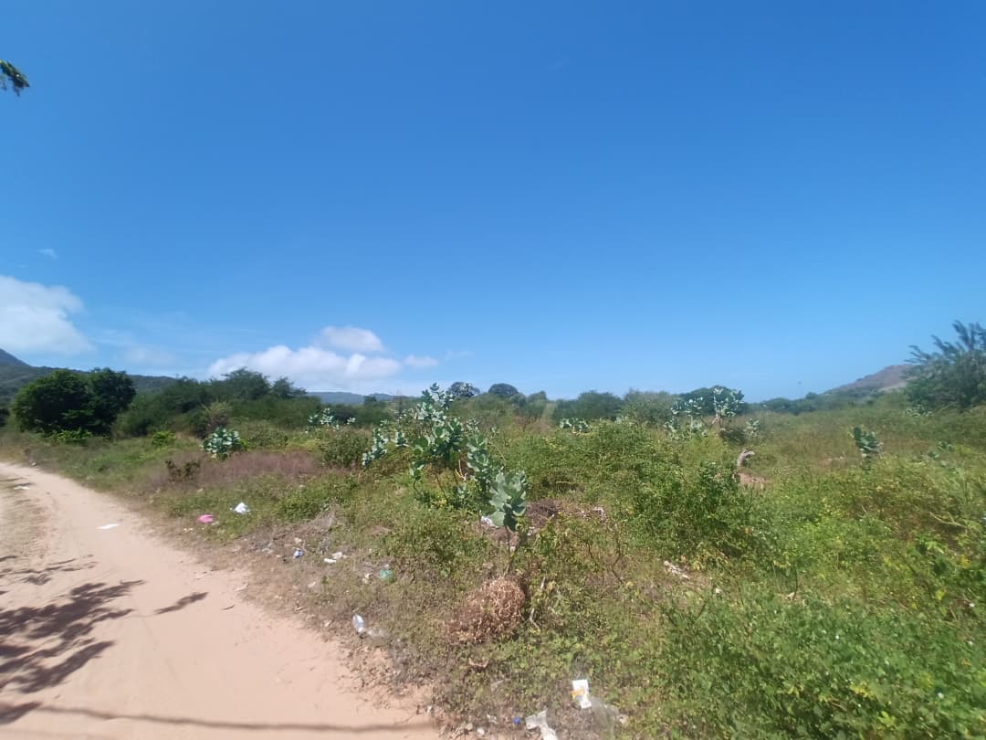 Terreno, En Venta, En El Tirano, Nueva Esparta, Isla de Margarita, 592,94 mt2 - Imagen 4