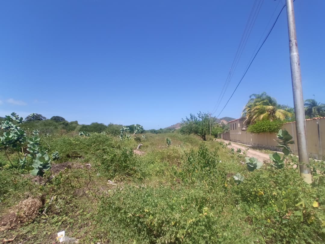 Terreno, En Venta, En El Tirano, Nueva Esparta, Isla de Margarita, 592,94 mt2 - Imagen 5