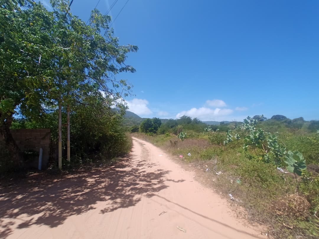 Terreno, En Venta, En El Tirano, Nueva Esparta, Isla de Margarita, 592,94 mt2 - Imagen 6