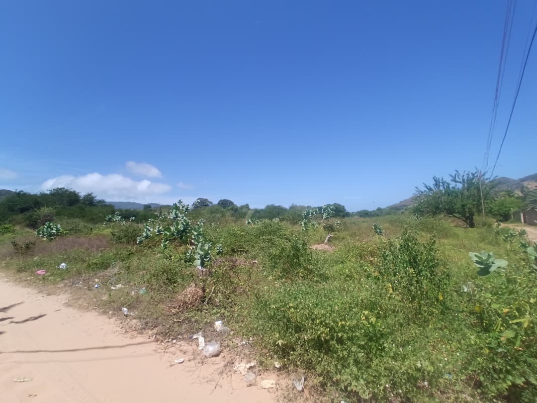Terreno, En Venta, En El Tirano, Nueva Esparta, Isla de Margarita, 592,94 mt2 - Imagen 7