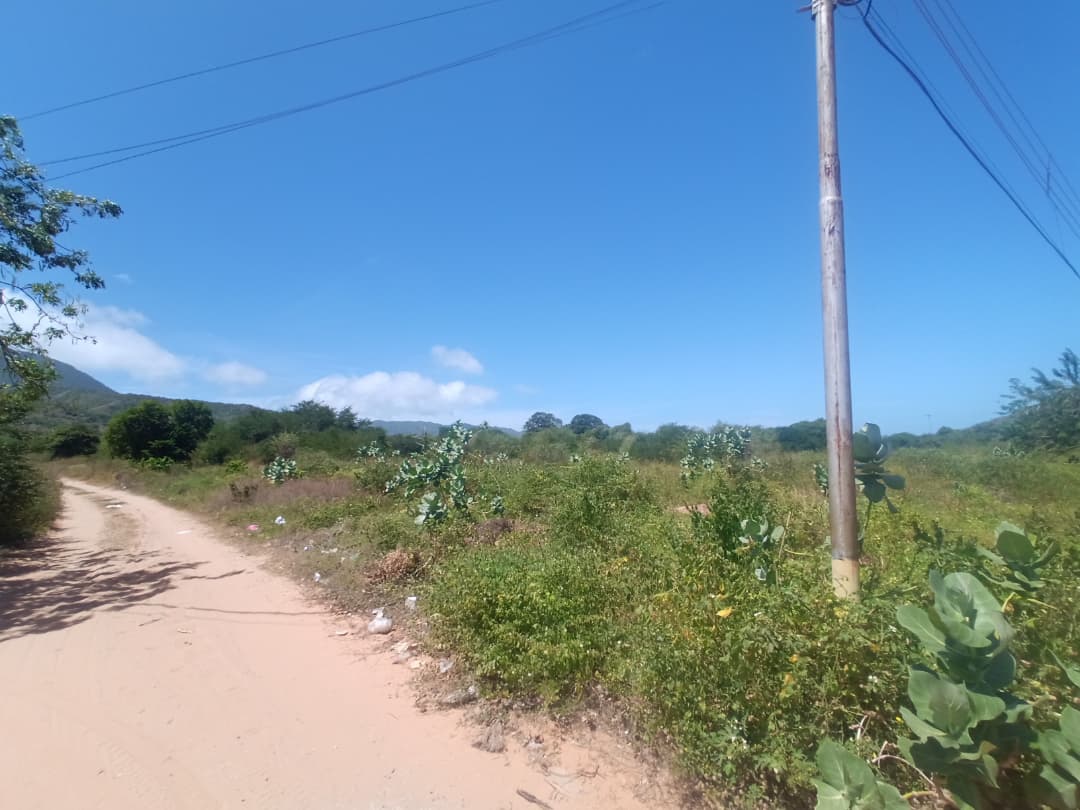Terreno, En Venta, En El Tirano, Nueva Esparta, Isla de Margarita, 592,94 mt2 - Imagen 8