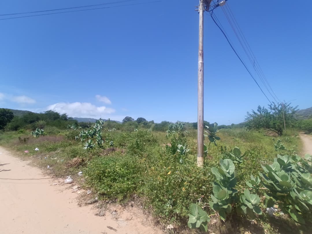 Terreno, En Venta, En El Tirano, Nueva Esparta, Isla de Margarita, 592,94 mt2 - Imagen 9