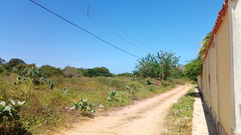Terreno, En Venta, En El Tirano, Nueva Esparta, Isla de Margarita, 592,94 mt2 - Imagen 13