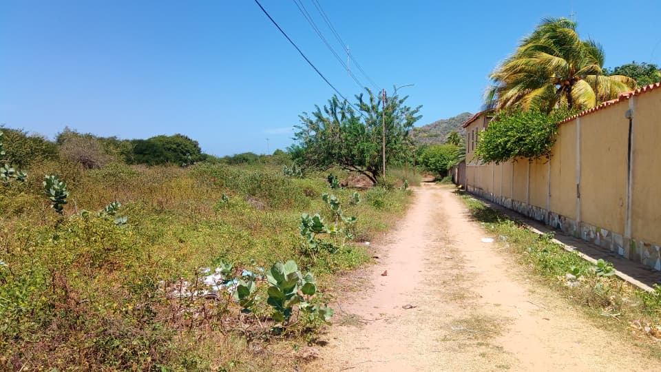 Terreno, En Venta, En El Tirano, Nueva Esparta, Isla de Margarita, 592,94 mt2 - Imagen 17